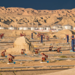 Sell Mineral Rights in Northwestern West Virginia