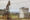 Buy mineral rights in Texas