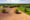 buying land