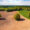 buying land