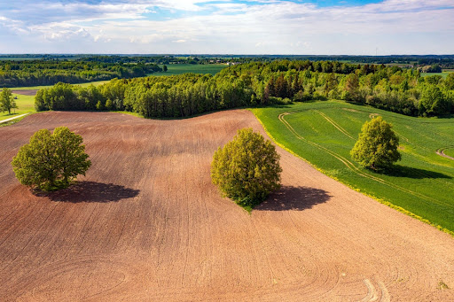 buying land