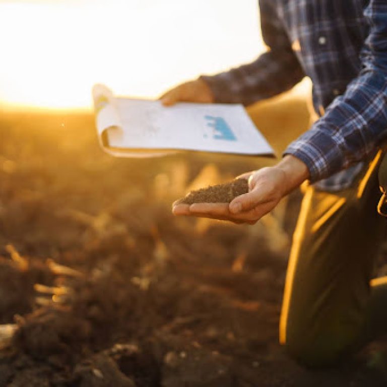 Mineral Rights vs Surface Rights