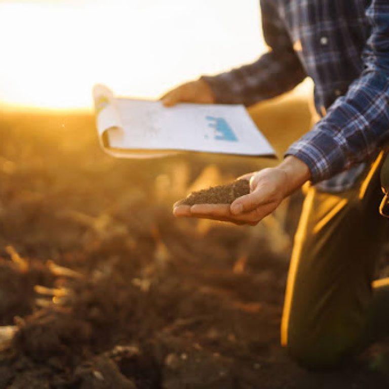 Mineral Rights vs Surface Rights