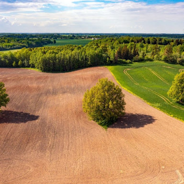 Buy Mineral Rights in Texas